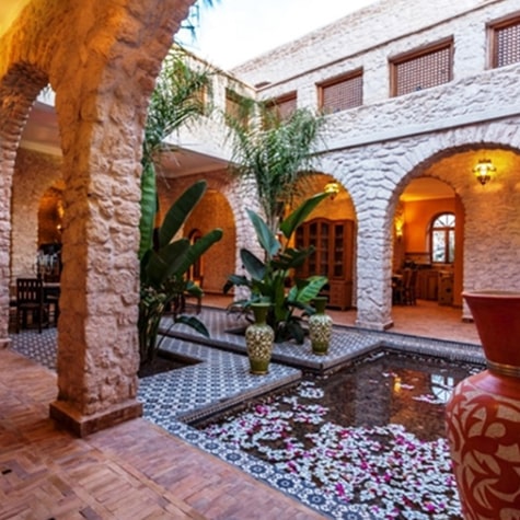 Riad Dharma